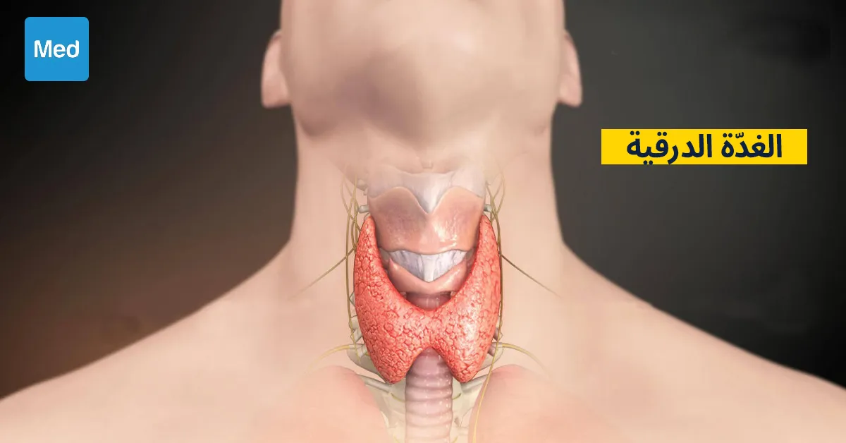 لمحة عامة عن الغُدَّة الدرقية